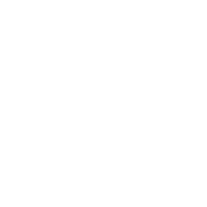 Branding & Business Integration